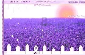 小猫钓鱼正版下载中文版