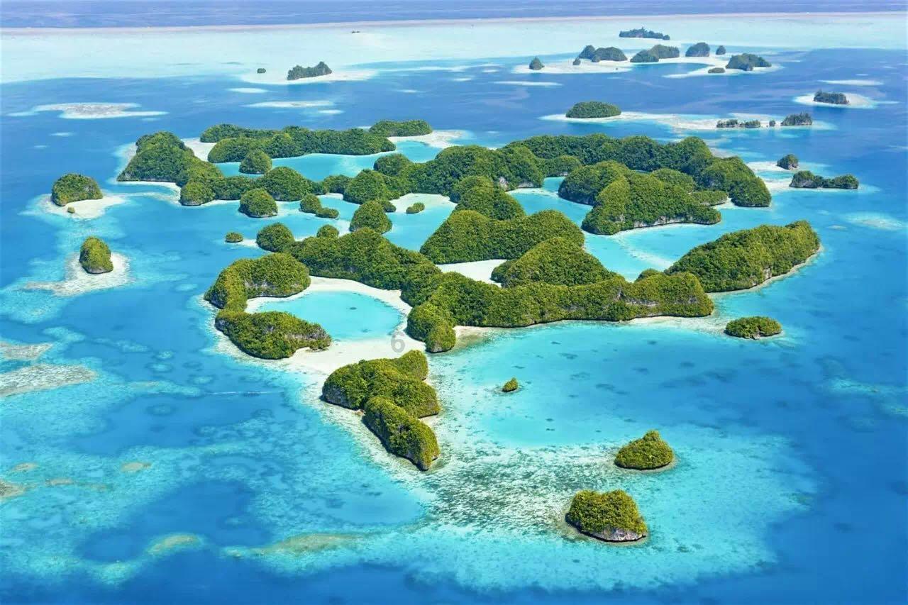 创作猫
