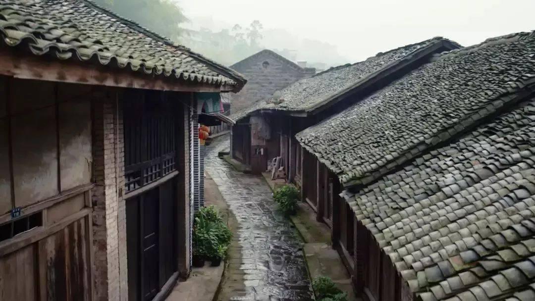 逃离天伯伦森林