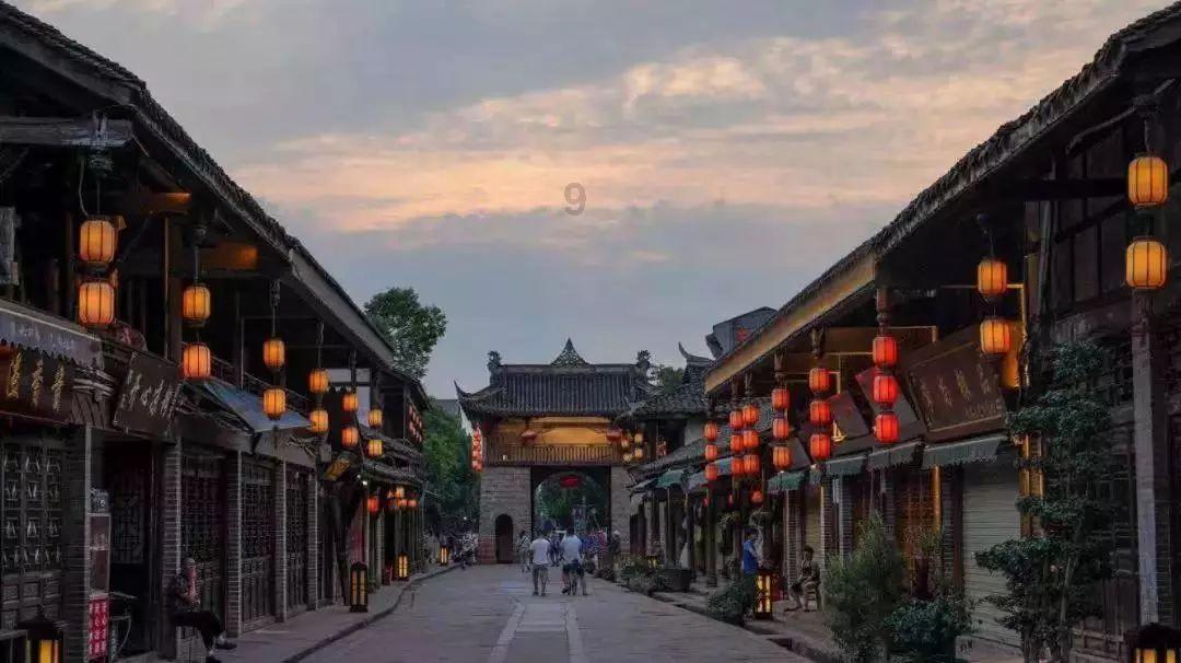 漂亮鹦鹉救援